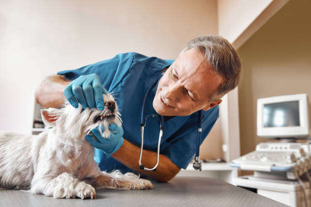 Best Emergency Care for Gum Disease in Palmetto Estates, FL
