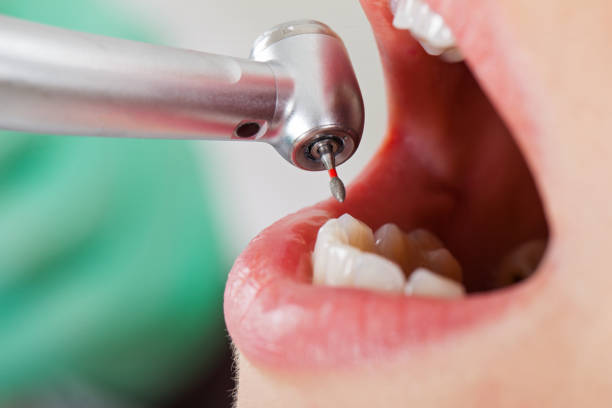 Best Emergency Orthodontic Repairs in Palmetto Estates, FL